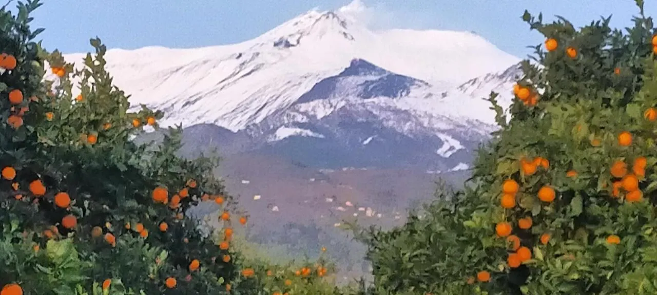 Feriegård Agriturismo Gli Aranci Dell'Etna Mascali