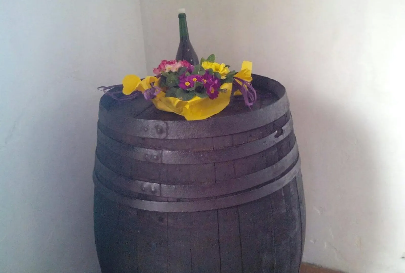 Agriturismo Gli Aranci Dell'Etna Mascali 0*,  Italien